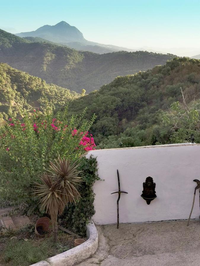 חנלגווסיל Naturaleza Y Arte En La Casa Del Molino מראה חיצוני תמונה